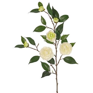 Artificial camellia branch YARINA with flowers, cream-green, 30"/75cm Artificial camellia branch YARINA with flowers, cream-green, 30"/75cm
