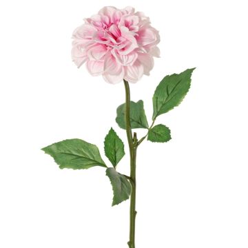 Artificial dahlia TINKALA, pale pink, 60 cm, Ø 12 cm Artificial dahlia TINKALA, pale pink, 60 cm, Ø 12 cm