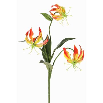 Decorative Gloriosa XELA, orange-yellow, 20"/50cm, Ø1.6"-2.8"/4-7cm Decorative Gloriosa XELA, orange-yellow, 20"/50cm, Ø1.6"-2.8"/4-7cm