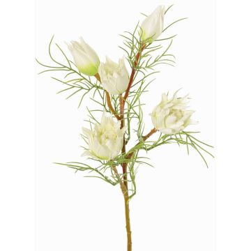 Decorative protea branch NOHEA, white, 24"/60cm, Ø1.2"-2.4"/3-6cm Decorative protea branch NOHEA, white, 24"/60cm, Ø1.2"-2.4"/3-6cm