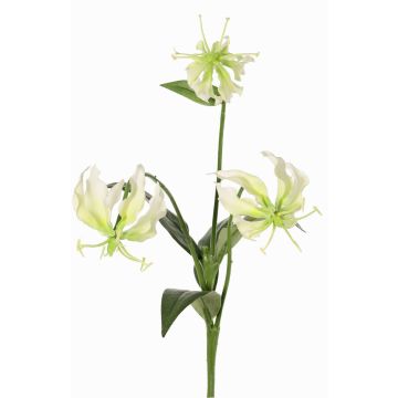 Gloriosa XELA decorative flower, white-green, 20"/50cm, Ø1.6"-2.8"/4-7cm Gloriosa XELA decorative flower, white-green, 20"/50cm, Ø1.6"-2.8"/4-7cm