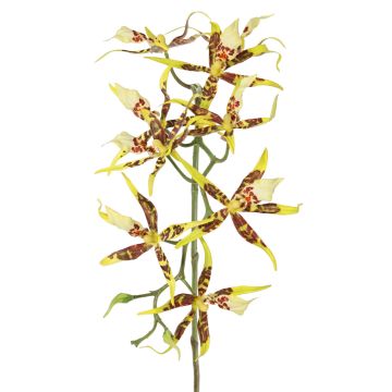 Artificial Brassia orchid ORELA, yellow-red, 35"/90cm Artificial Brassia orchid ORELA, yellow-red, 35"/90cm