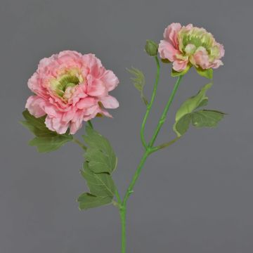 Artificial SAGARA ranunculus branch, pink-green, 45cm, Ø5–9cm