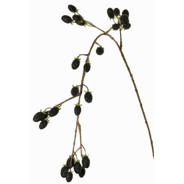 Decorative blackberry branch URUMA with berries, black, 3ft/100cm Decorative blackberry branch URUMA with berries, black, 3ft/100cm