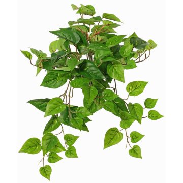 Decorative plant hanging pothos SHELLEY on spike, Eco Collection, green, 22"/55cm