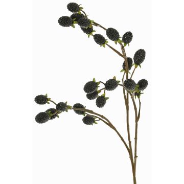 Decorative Blackberry Branch URUMA with berries, black, 35"/90cm Decorative Blackberry Branch URUMA with berries, black, 35"/90cm