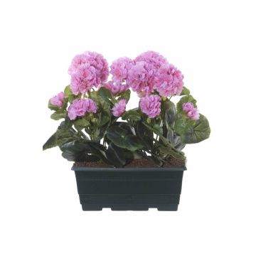 FLOREANA artificial geraniums in a window box, 2 pieces, purple, 24x11x35cm