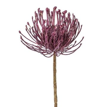 Artificial flower Pincushion protea ZIRMO, purple, 20"/50cm Artificial flower Pincushion protea ZIRMO, purple, 20"/50cm