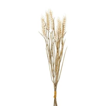 Artificial wheat bunch TILPA with ears, cream, 20"/50cm