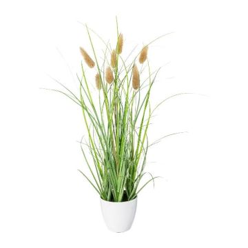 Decorative grass Hare's tail BIRVO in melamine pot, panicles, beige, 16"/40cm