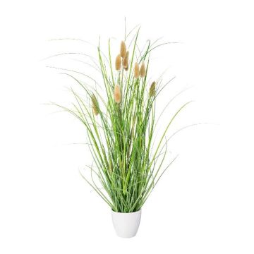 Decorative grass Hare's tail BIRVO in melamine pot, panicles, beige, 20"/50cm