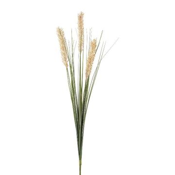Decorative grass Wheat SUNDY on spike, ears, cream, 33"/85cm