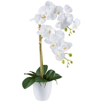Decorative flower Phalaenopsis orchid BLENTOR in melamine planter, roots, white, 22"/55cm Decorative flower Phalaenopsis orchid BLENTOR in melamine planter, roots, white, 22"/55cm