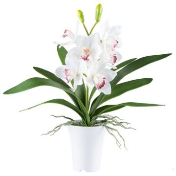 Artificial Cymbidium orchid BLORKE in melamine planter, roots, white-pink, 22"/55cm Artificial Cymbidium orchid BLORKE in melamine planter, roots, white-pink, 22"/55cm