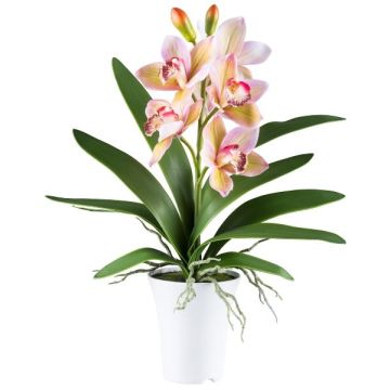 Artificial Cymbidium orchid BLORKE in melamine planter, roots, green-pink, 22"/55cm Artificial Cymbidium orchid BLORKE in melamine planter, roots, green-pink, 22"/55cm