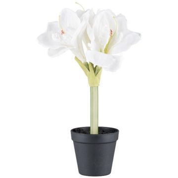 Decorative flower Amaryllis PRIFT in decorative pot, white, 12"/30cm