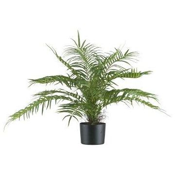 Artificial palm Areca KARANNE, flame retardant, 28"/70cm Artificial palm Areca KARANNE, flame retardant, 28"/70cm