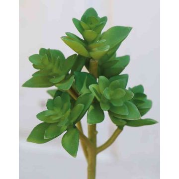 Artificial echeveria gibbiflora TROY, spike, green, 7"/17cm Artificial echeveria gibbiflora TROY, spike, green, 7"/17cm