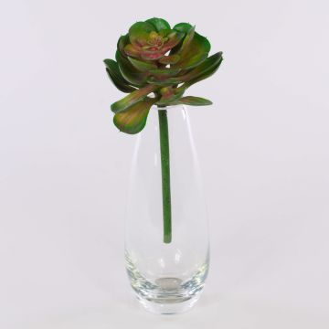 Plastic Echeveria gibbiflora ERNESTO, spike, green-pink, 9"/23cm, Ø5.1"/13cm