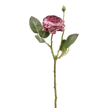 Artificial flower Cabbage rose VOMTE, dry look, mauve, 18"/45cm