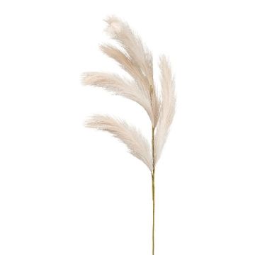 Artificial wood small-reed panicle ALFIN, beige, 31"/80cm