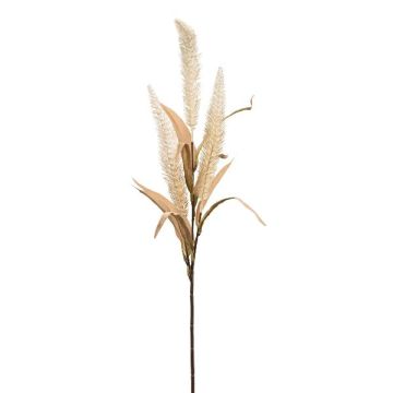 Decorative branch Bristlegrass KENFIR with panicles, cream, 28"/70cm