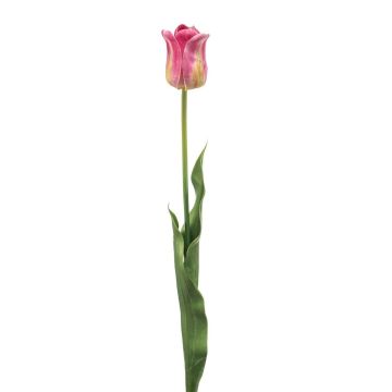 Artificial Tulip SIDRA, hot pink-green, 65cm