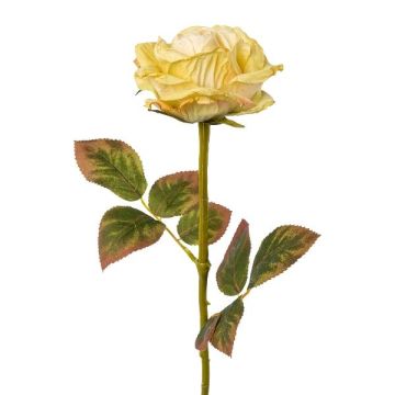 Artificial flower rose DRINT, green-cream, 24"/60cm, Ø4.1"/10.5cm Artificial flower rose DRINT, green-cream, 24"/60cm, Ø4.1"/10.5cm