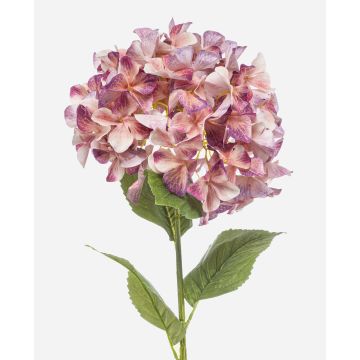 Artificial hydrangea BRITTANY, peach-purple, 37"/95cm, Ø11"/28cm Artificial hydrangea BRITTANY, peach-purple, 37"/95cm, Ø11"/28cm