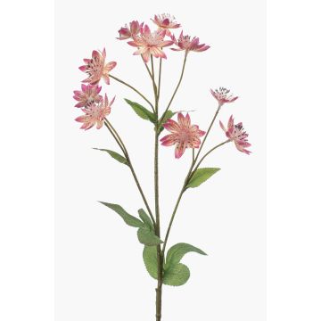 Decorative Starflower Branch JAXRON, pink, 70cm