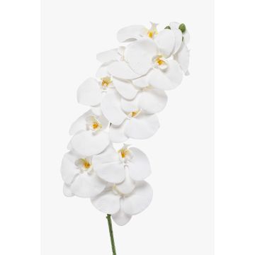 Artificial Phalaenopsis orchid branch XURI, white, 95cm, Ø12.5cm