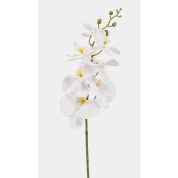 Artificial Phalaenopsis orchid branch AXELOR, white, 85cm