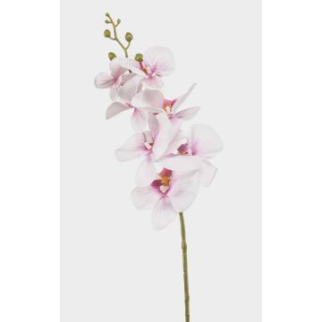 Artificial Phalaenopsis orchid branch AXELOR, white-pink, 85 cm