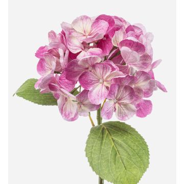 Artificial hydrangea EXORIN, pink, 50 cm, Ø17 cm