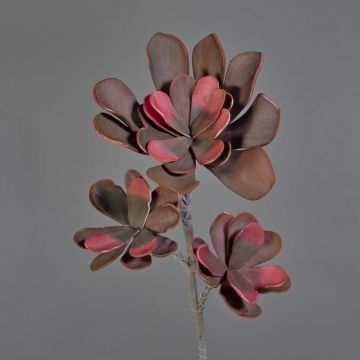 Plastic Echeveria branch ORALY, dark purple, 3ft/95cm, Ø5.9"-9"/15-24cm Plastic Echeveria branch ORALY, dark purple, 3ft/95cm, Ø5.9"-9"/15-24cm