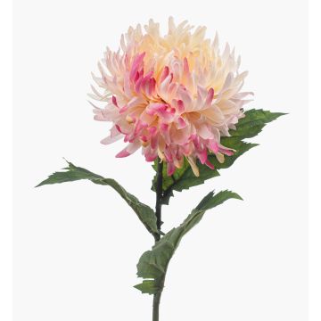Artificial chrysanthemum SAXLER, pink-pink-white, 60cm, Ø12cm