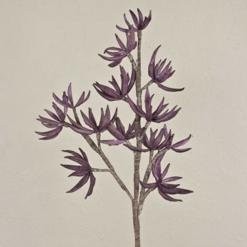 Fake sedum branch MOMOKA, dark purple, 4ft/110cm Fake sedum branch MOMOKA, dark purple, 4ft/110cm
