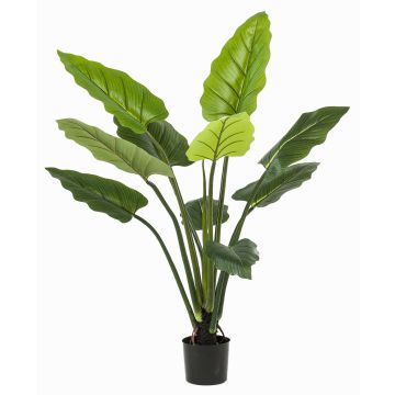 Artificial Calathea Rufibarba NUSAKAN, green, 4ft/120cm