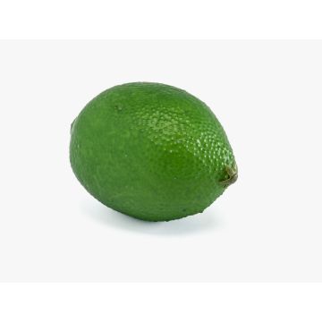 Artificial fruit lime NANGA, green, 2.4"/6cm