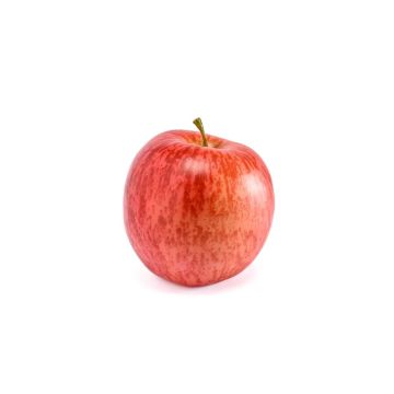 Artificial fruit Apple ATINDO, red-orange, 3.5"/9cm Artificial fruit Apple ATINDO, red-orange, 3.5"/9cm