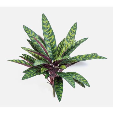 Artificial Calathea Makoyana MANAMI on a stem, green-red, 16"/40cm Artificial Calathea Makoyana MANAMI on a stem, green-red, 16"/40cm
