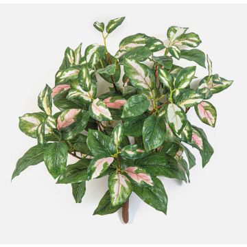 Artificial Hoya carnosa OLEANA plant on a stem, green-white-pink, 16"/40cm Artificial Hoya carnosa OLEANA plant on a stem, green-white-pink, 16"/40cm