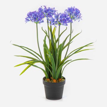 Artificial Agapanthus LESEDA plant in decorative pot, blue, 65cm