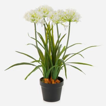 Artificial Agapanthus LESEDA plant in a decorative pot, white, 65cm