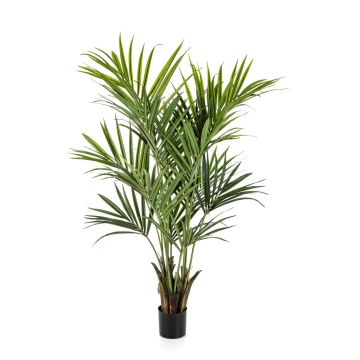Artificial Kentia palm OMAYRA, flame-retardant, 6ft/170cm