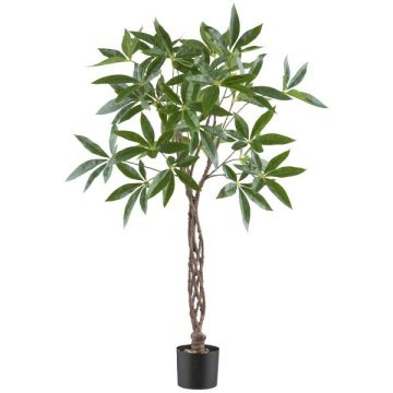 Artificial Pachira WINMA tree, braided artificial trunk, 4ft/120cm Artificial Pachira WINMA tree, braided artificial trunk, 4ft/120cm