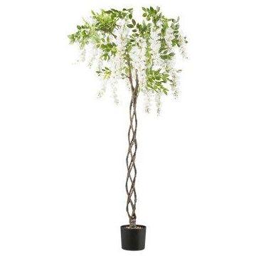 Artificial wisteria tree SINKE with flowers, braided artificial trunk, white, 6ft/170cm Artificial wisteria tree SINKE with flowers, braided artificial trunk, white, 6ft/170cm