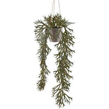 Decorative hanging antler fern, DRIHER hanging basket, decorative pot, green, 28"/70cm