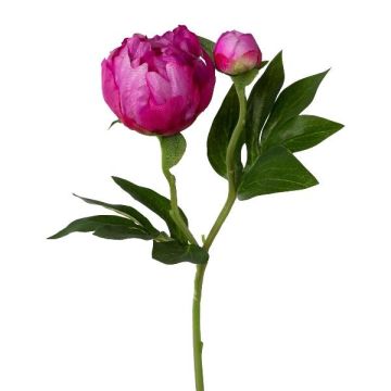 Artificial flower Peony CORENY, fuchsia, 18"/45cm Artificial flower Peony CORENY, fuchsia, 18"/45cm