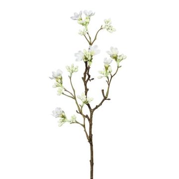 Decorative branch Seven Son flower of Zhejiang GRIMKO, white, 20"/50cm Decorative branch Seven Son flower of Zhejiang GRIMKO, white, 20"/50cm